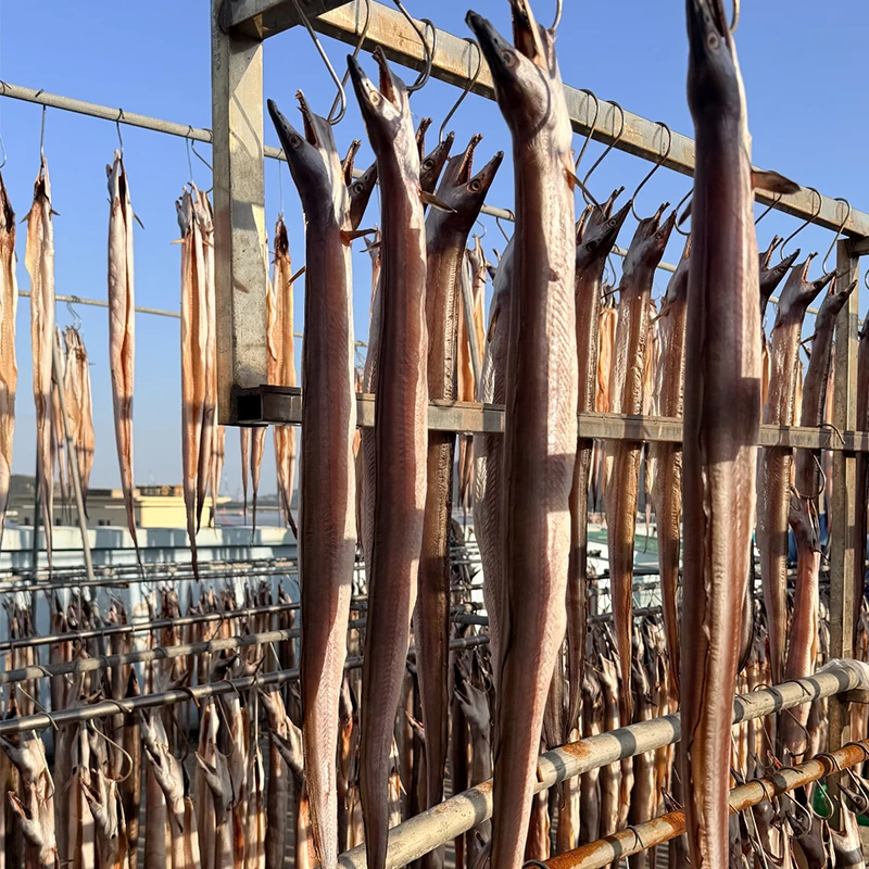 正宗舟山本港风鳗鱼去肚腌制风干鳗筒海鳗海鲜干货微咸