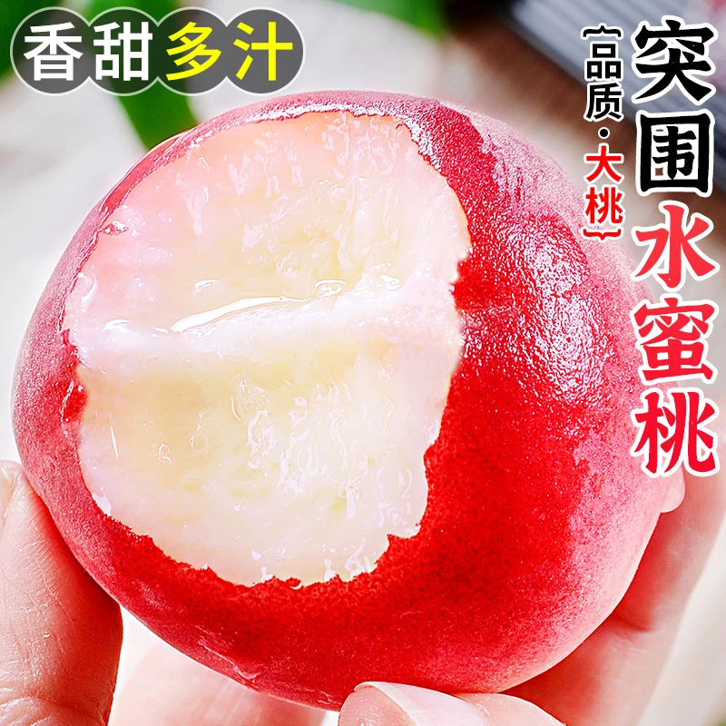 【顺丰】陕西纸袋正宗突围水蜜桃新鲜现摘水果桃子3-8.5斤脆软爆汁