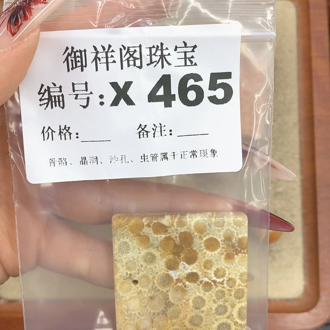 硅化珊瑚（珊瑚玉）颈饰未镶嵌逐*?