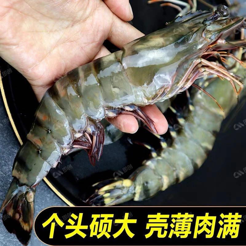 3斤净重18-21公分超大黑虎虾812金刚虾活虾速冻老虎虾2斤送1斤