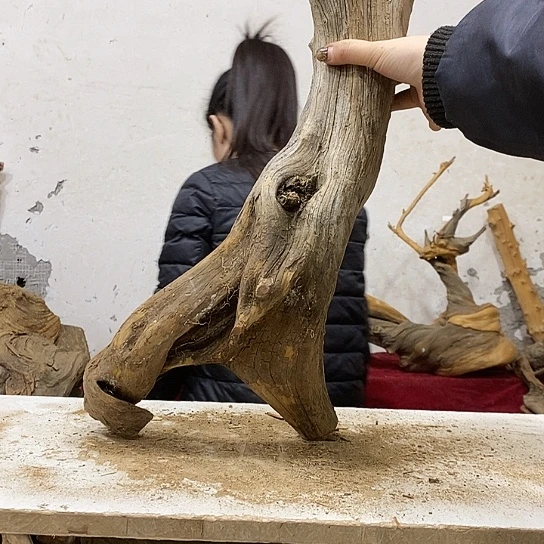 珍***阁柏木我们都是好孩子