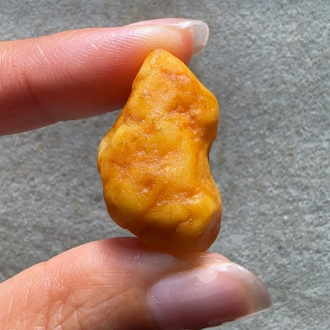 未镶嵌定制琥珀下****鱼专拍