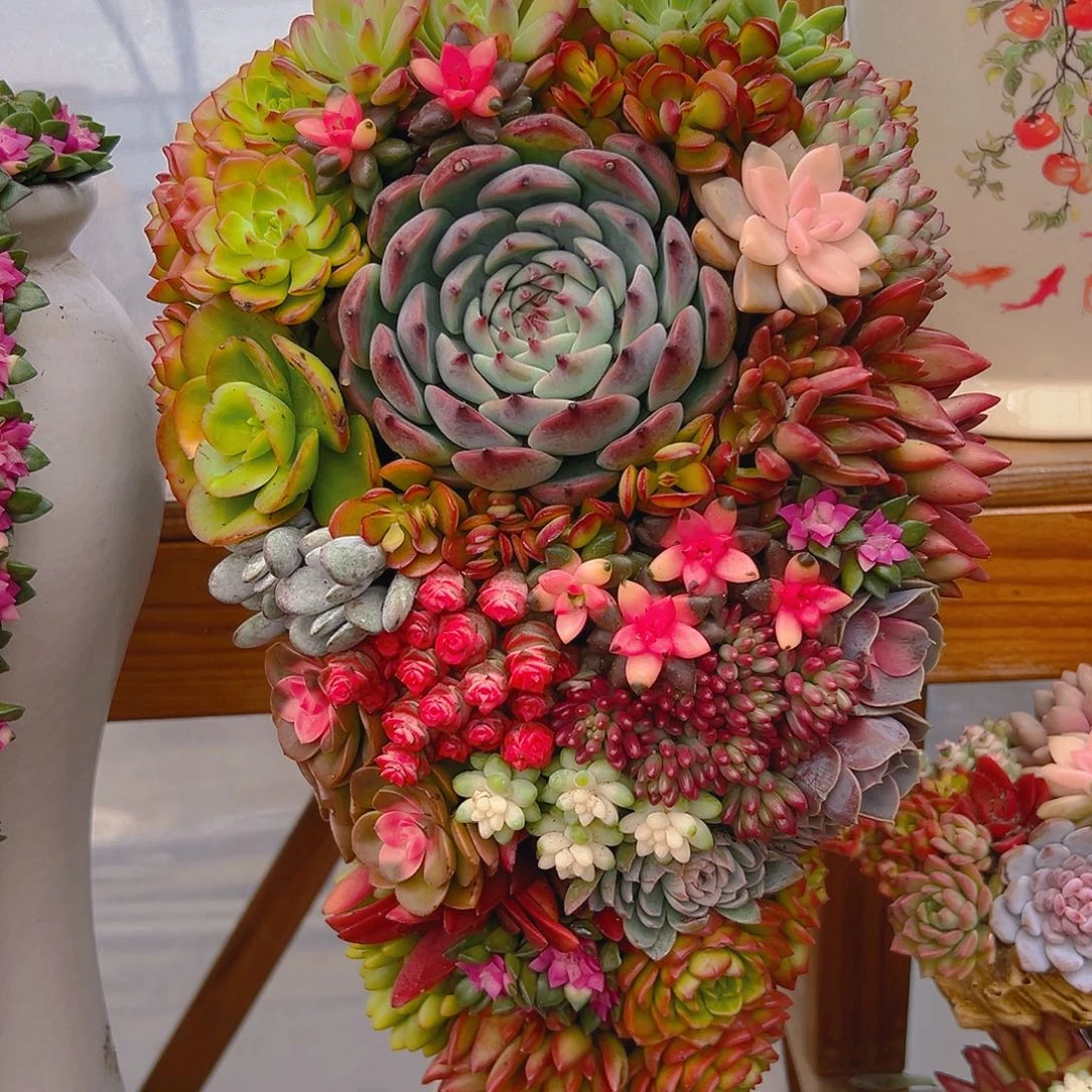 122大号花园富有哦呜