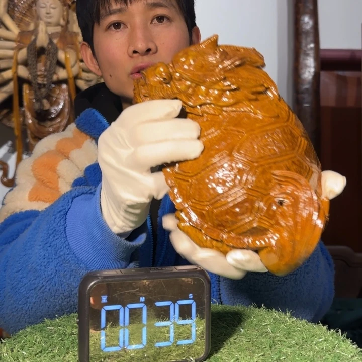 金丝楠总*眠小叶桢楠龙龟
