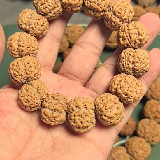 熊****金刚菩提手串梅花双龙大金刚手串，21左右