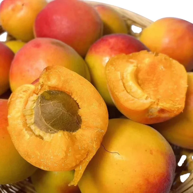 丰源胭脂红杏贵妃红杏酸度低(买2斤送1斤)北京市