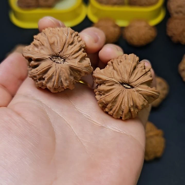 木质类全品无修正磨16号