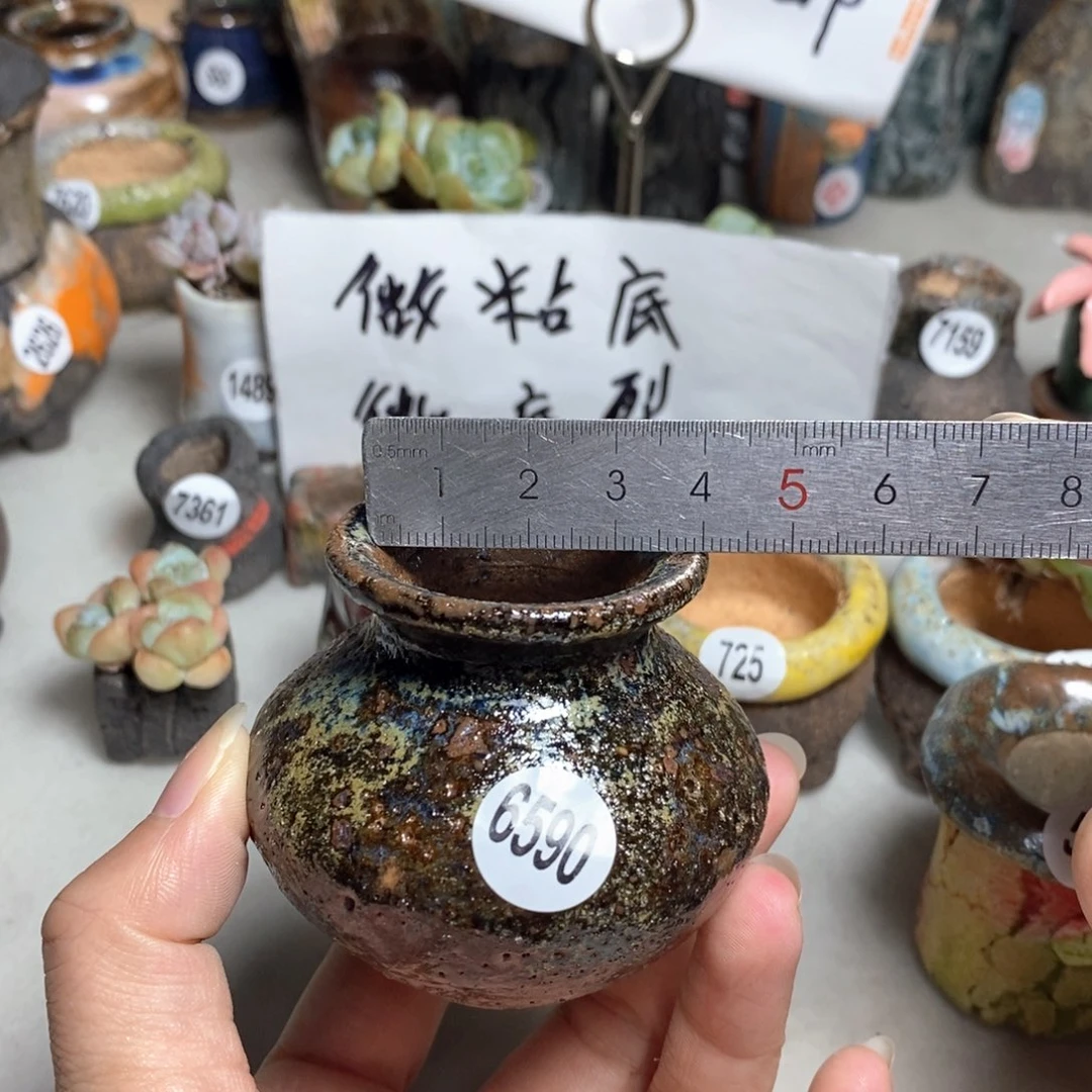 拍5送一个小礼物