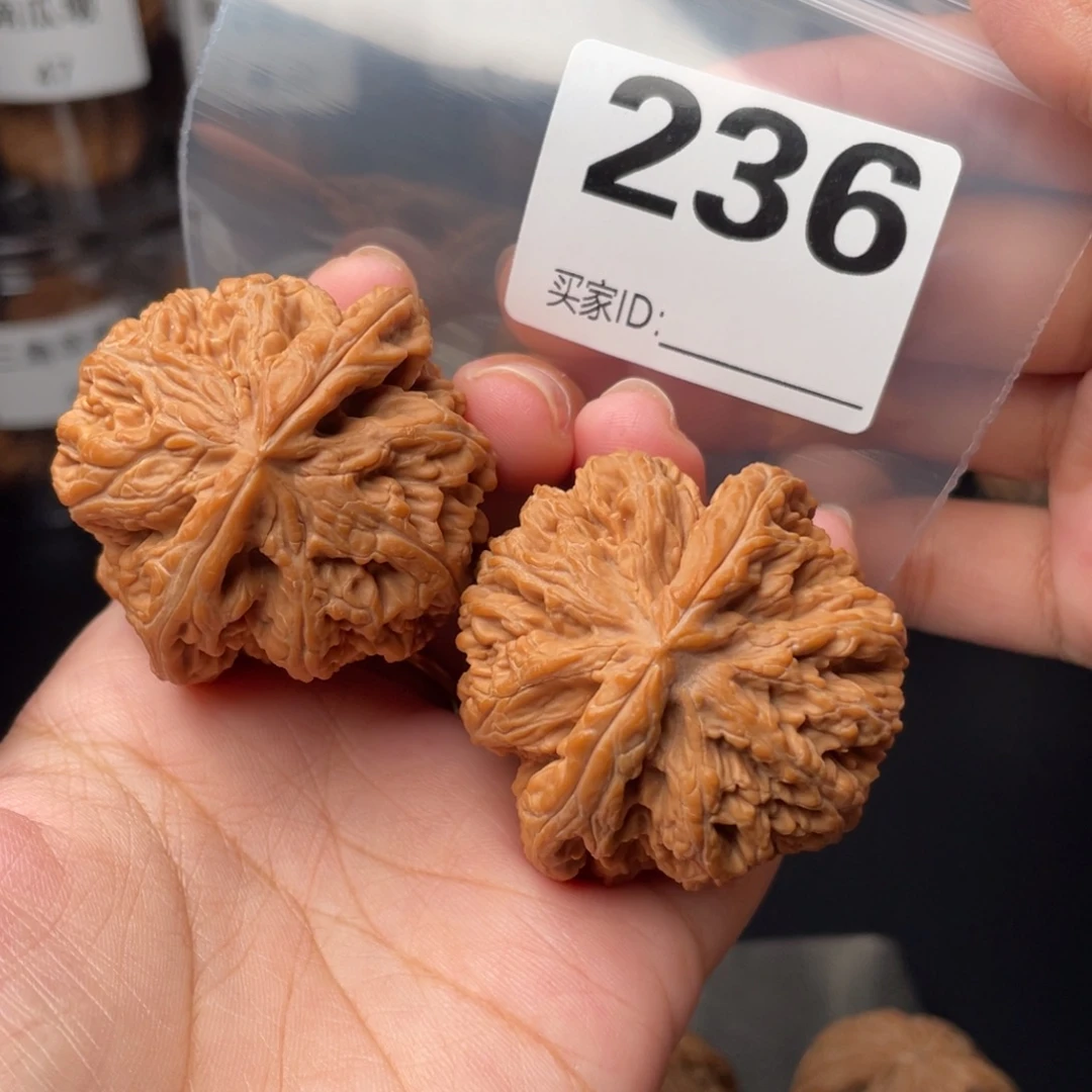 把件文玩核桃45大粗筋