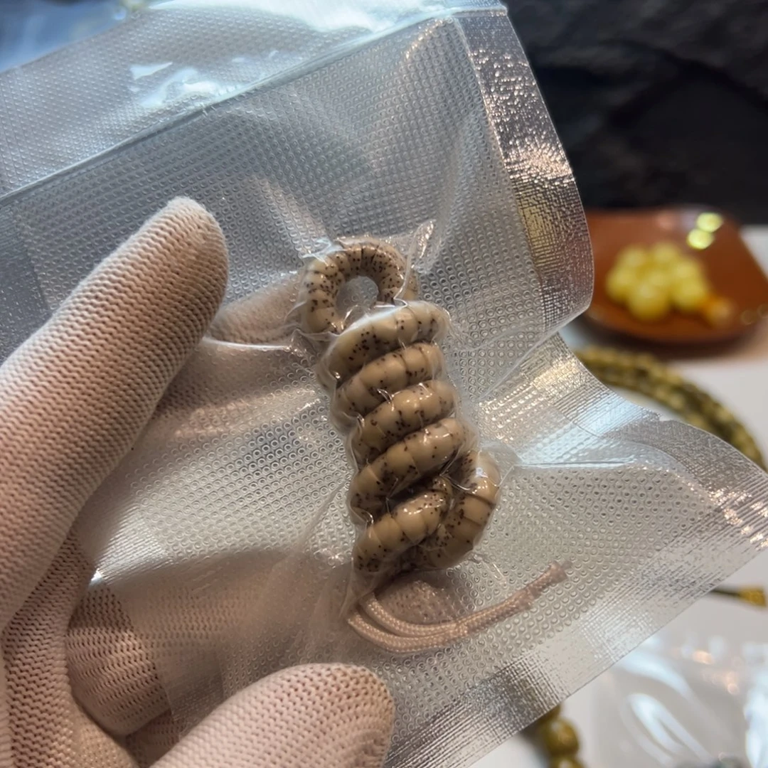 骨瓷白大肠6星月菩提石玉料手持