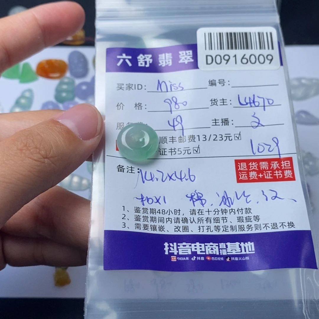 ****g未镶嵌挂件翡翠D0916009