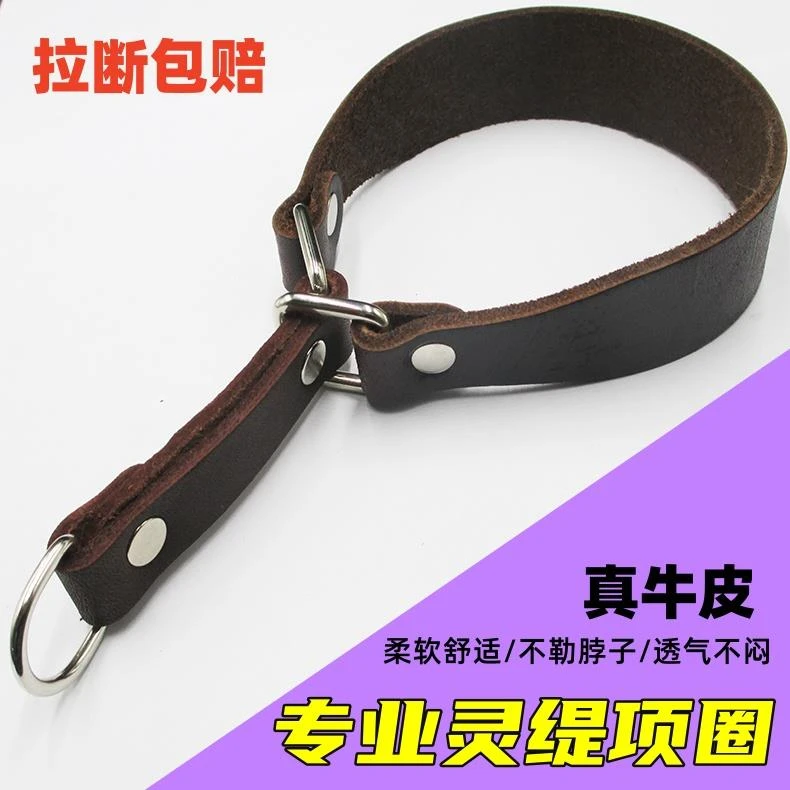 细犬项圈灵缇惠比特二特狗颈犬真牛皮按钉加厚耐拉耐咬猎兔犬脖套