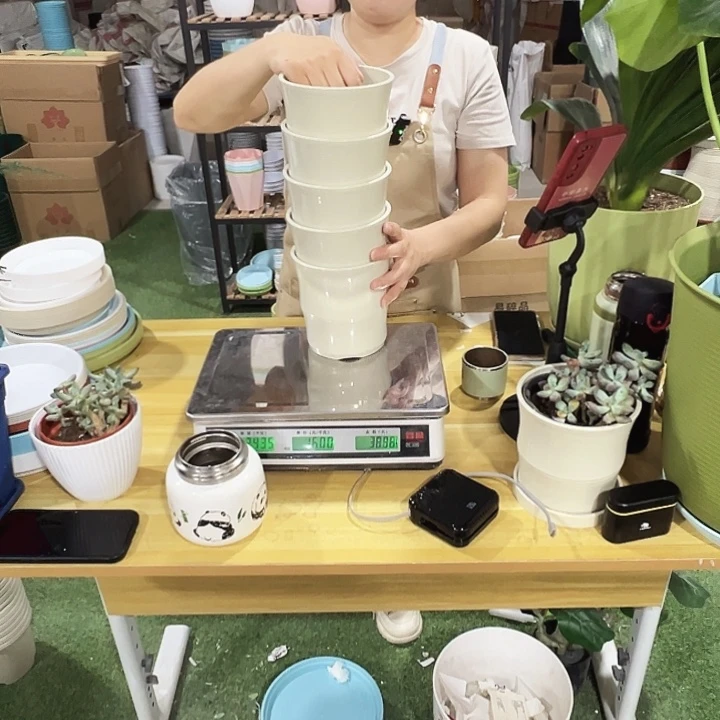 竹节口14高14米色带托5只