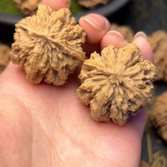 文玩核桃吊坠秦岭核桃5