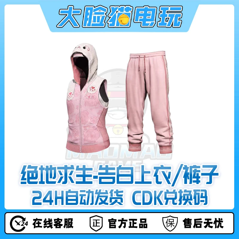steam绝地求生PUBG皮肤告白的连帽卫衣运动长裤CDK兑换码