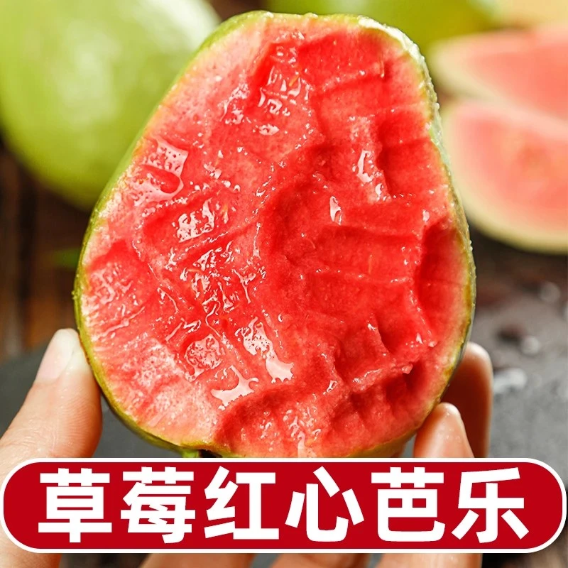 红心软芭乐奶油白心软糯番石榴当季低糖低卡水果新鲜采摘