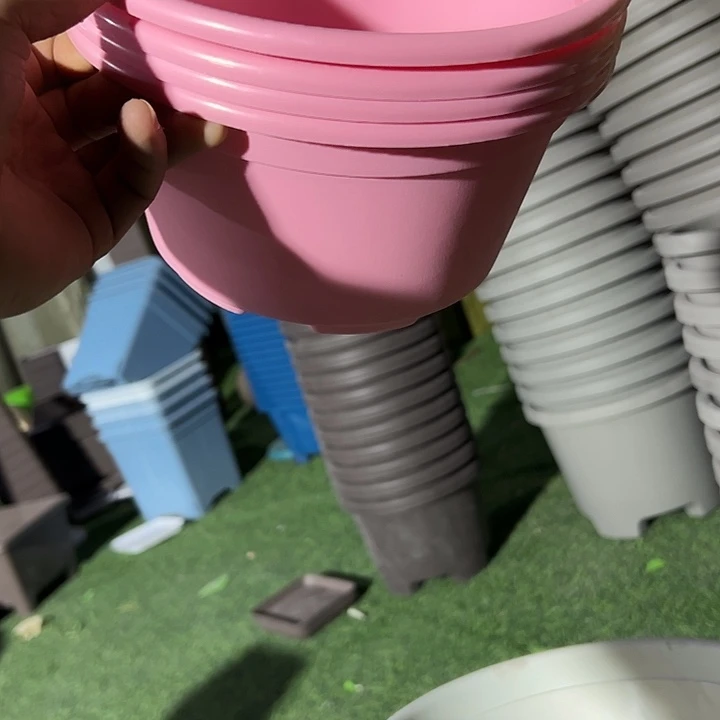 微瑕老桩盆22外径12高4个盆