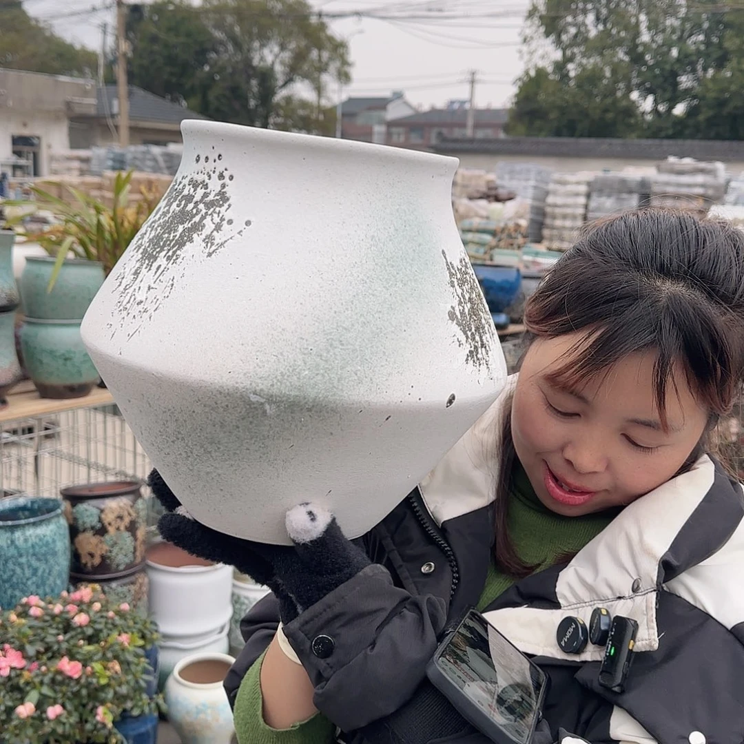 王嫂花盆1223-143高28口18