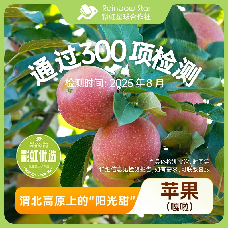 彩虹星球优选｜嘎啦苹果新鲜高原苹果营养丰富水果