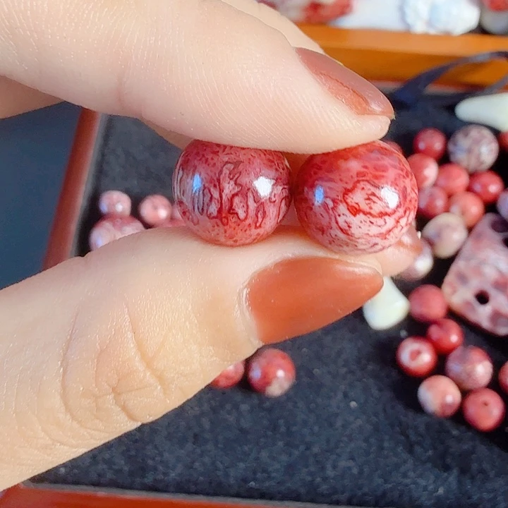 老***木养殖鹿三界珠1.2两颗