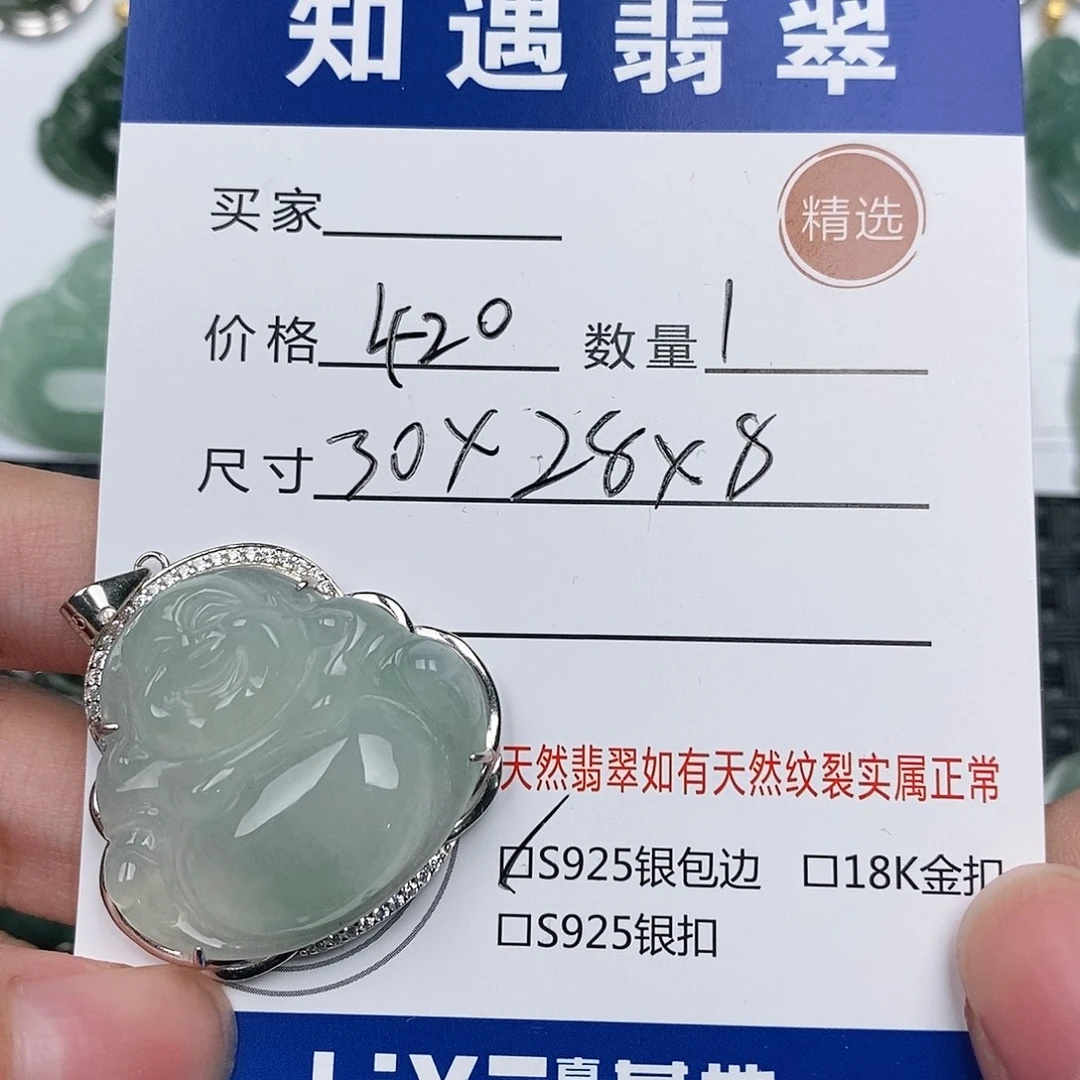 翡翠银S925镶嵌颈饰