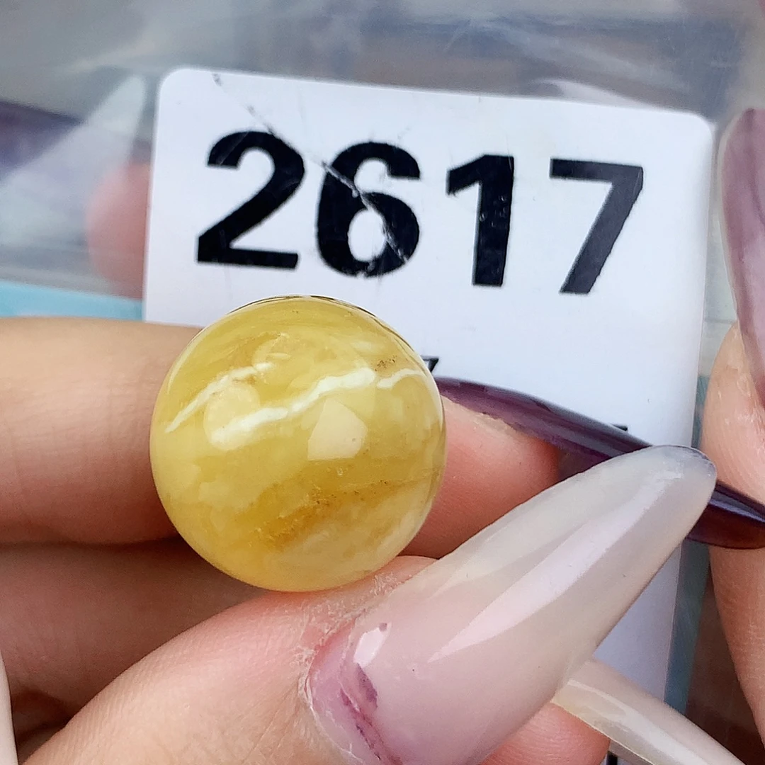 琥珀未镶嵌珠宝奇石17.6植物