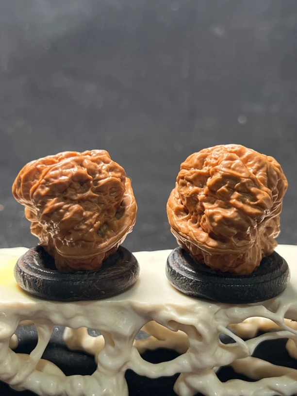 精品原生树一代三角蛙文玩核桃收藏级盘玩手把件37-39