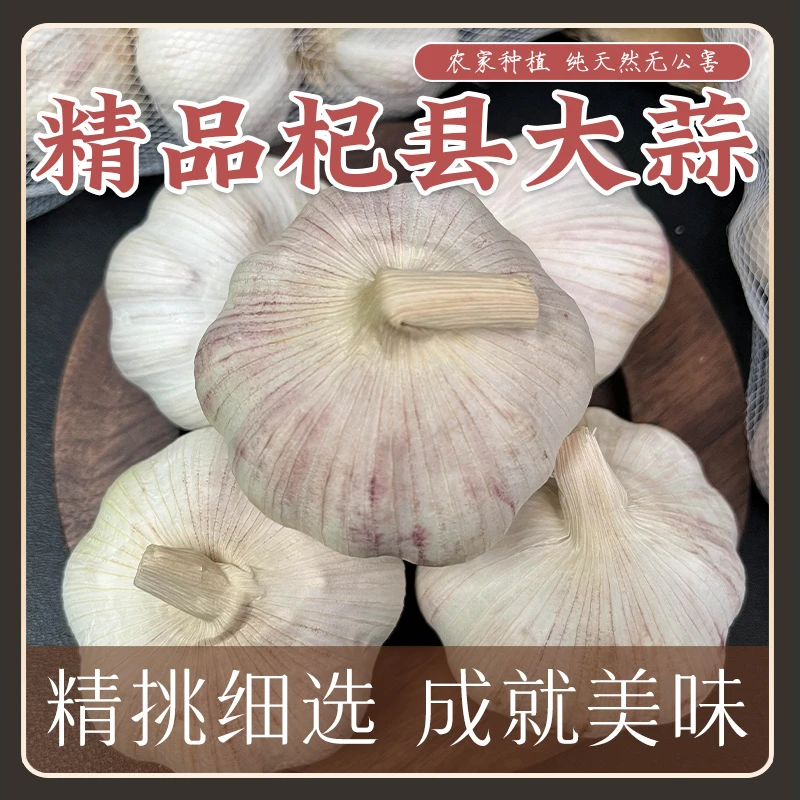【供销社专属】5斤杞县大蒜精品特大果王大个手工筛选农家3斤