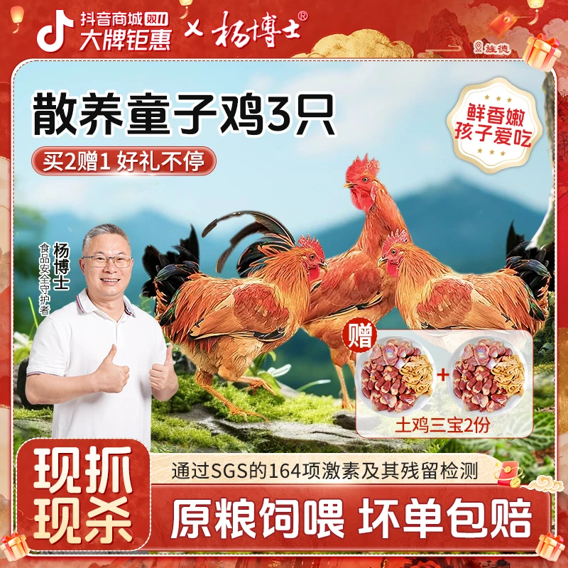 【3只童子鸡送土鸡三宝】食安放心杨博士土鸡高蛋白 包冰率不含冰