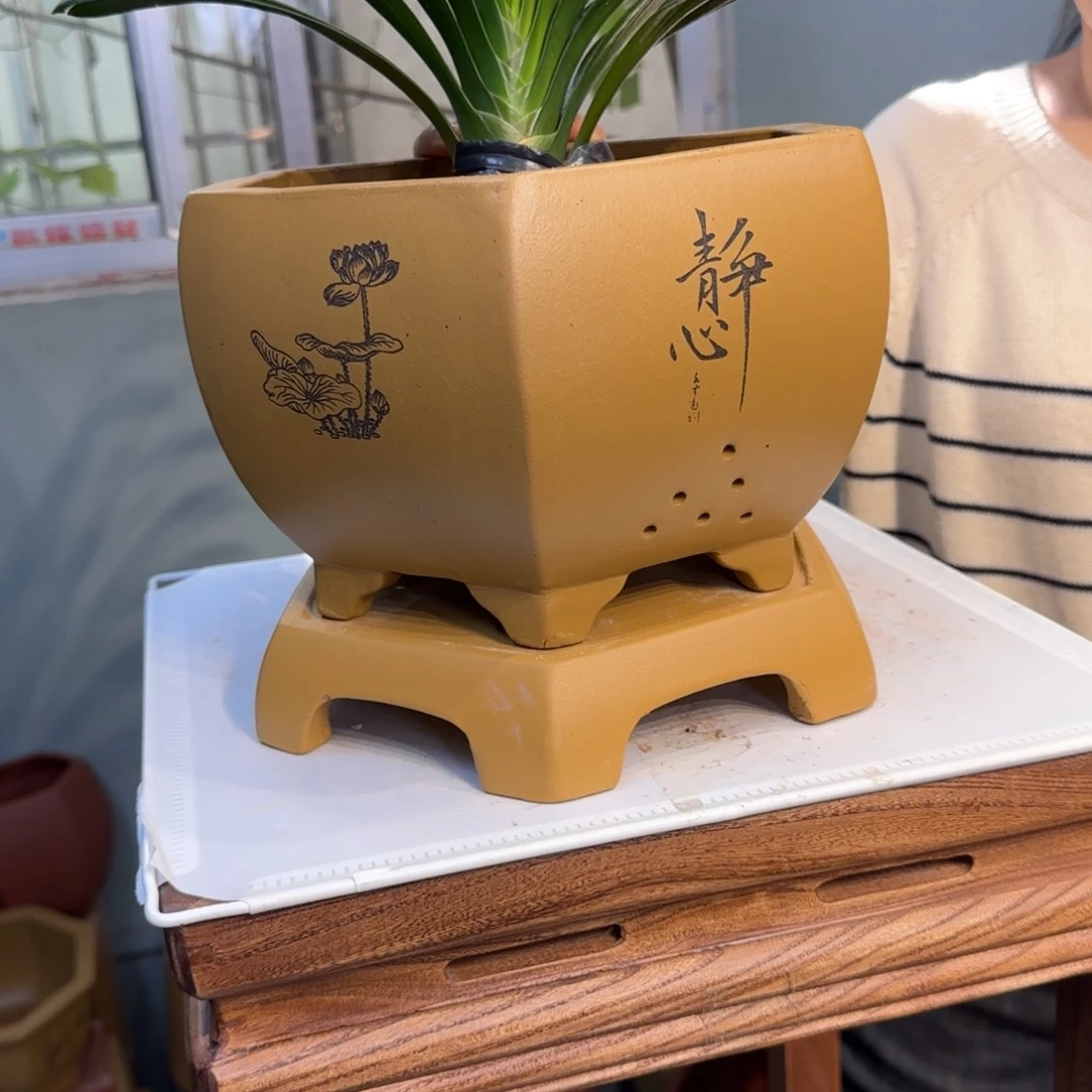 紫砂花盆紫砂口径25