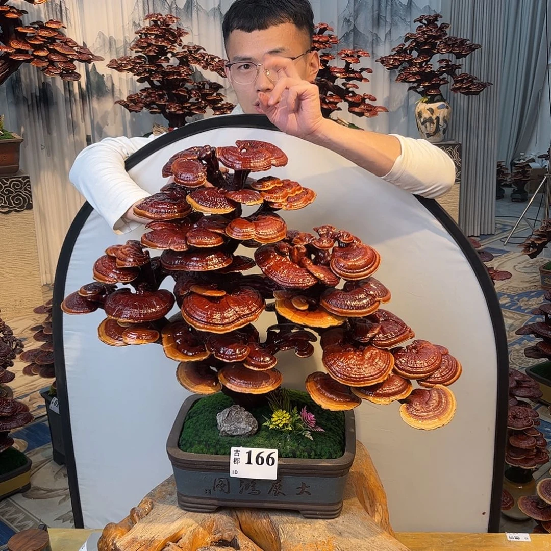 无花朵888888888899