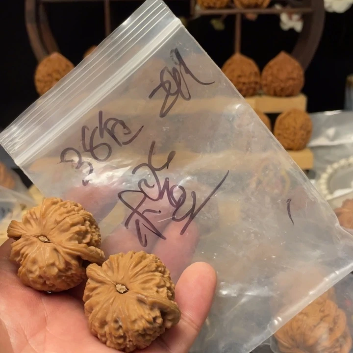 橙****把件文玩核桃白狮子