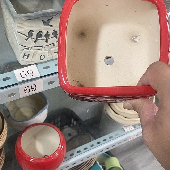 花盆抢购清货马上开始