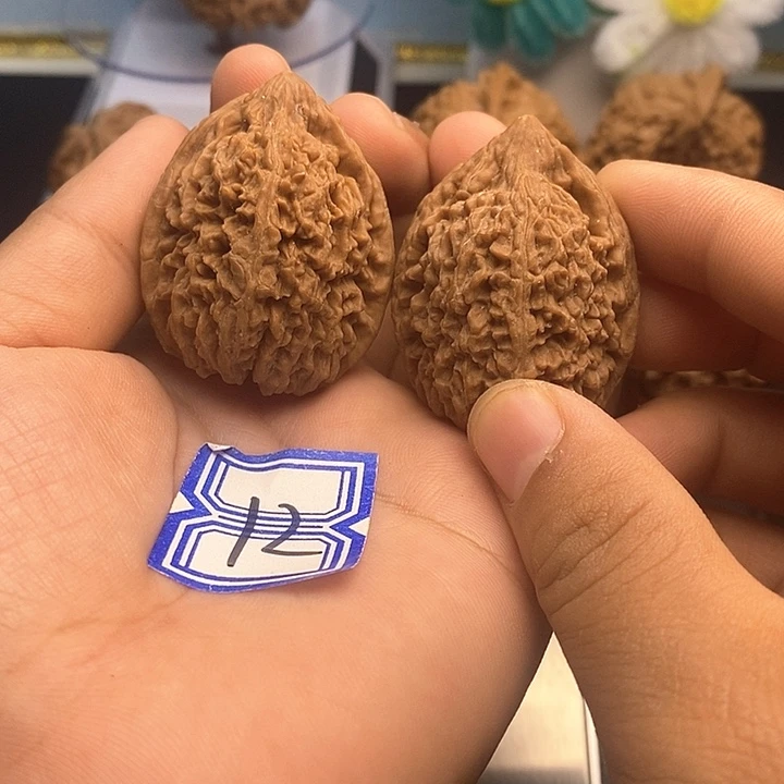 顾***爷把件文玩核桃35大蒜头