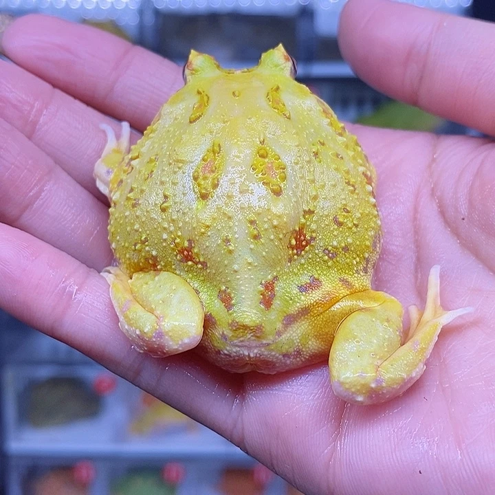 特价秒杀现货特价