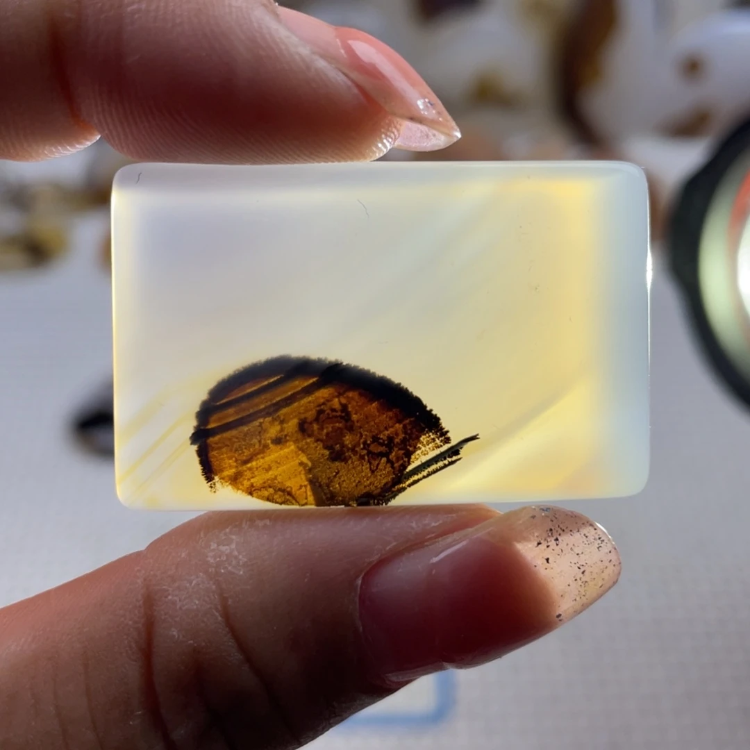 玛瑙/玉髓未镶嵌颈饰