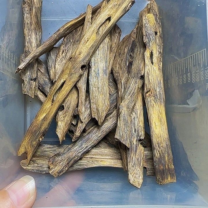 茗***木老白奇树心料104克