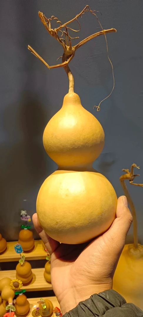 中号葫芦八宝葫芦天然葫芦直播间专享一物一拍