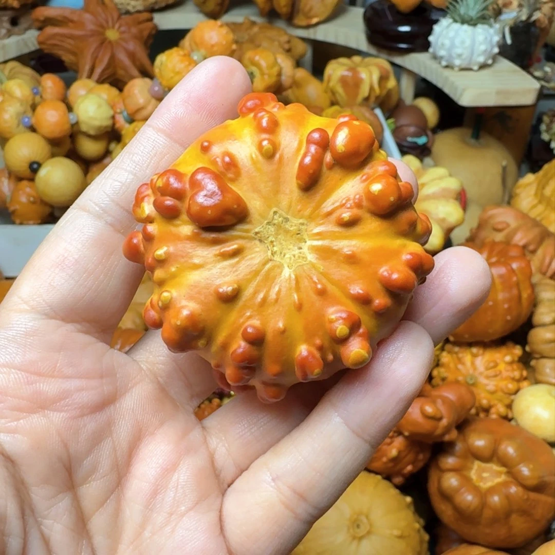 A**A特价葫芦不退不换