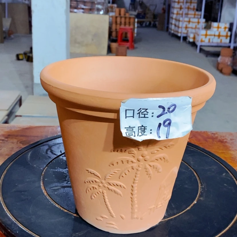 【闪购商品】椰树20×19-1