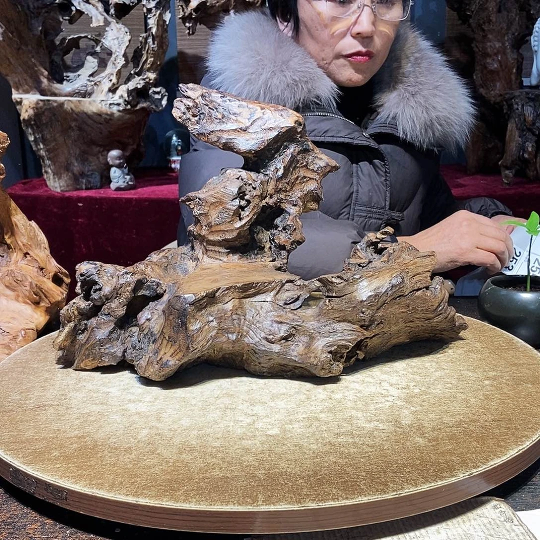 狂***飙253。株木随行根艺