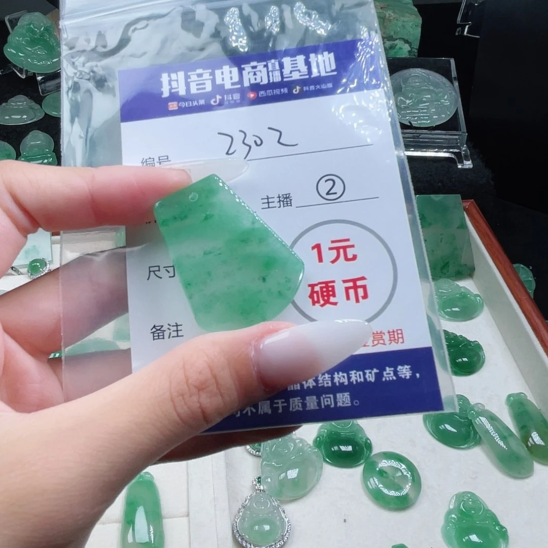石英质玉未镶嵌颈饰