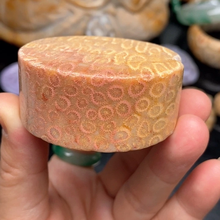 硅化珊瑚（珊瑚玉）手镯未镶嵌