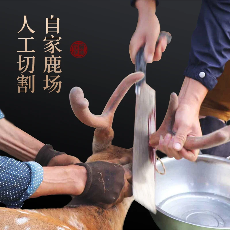 东北特产 鹿茸红 加酒保鲜发货  快递包邮