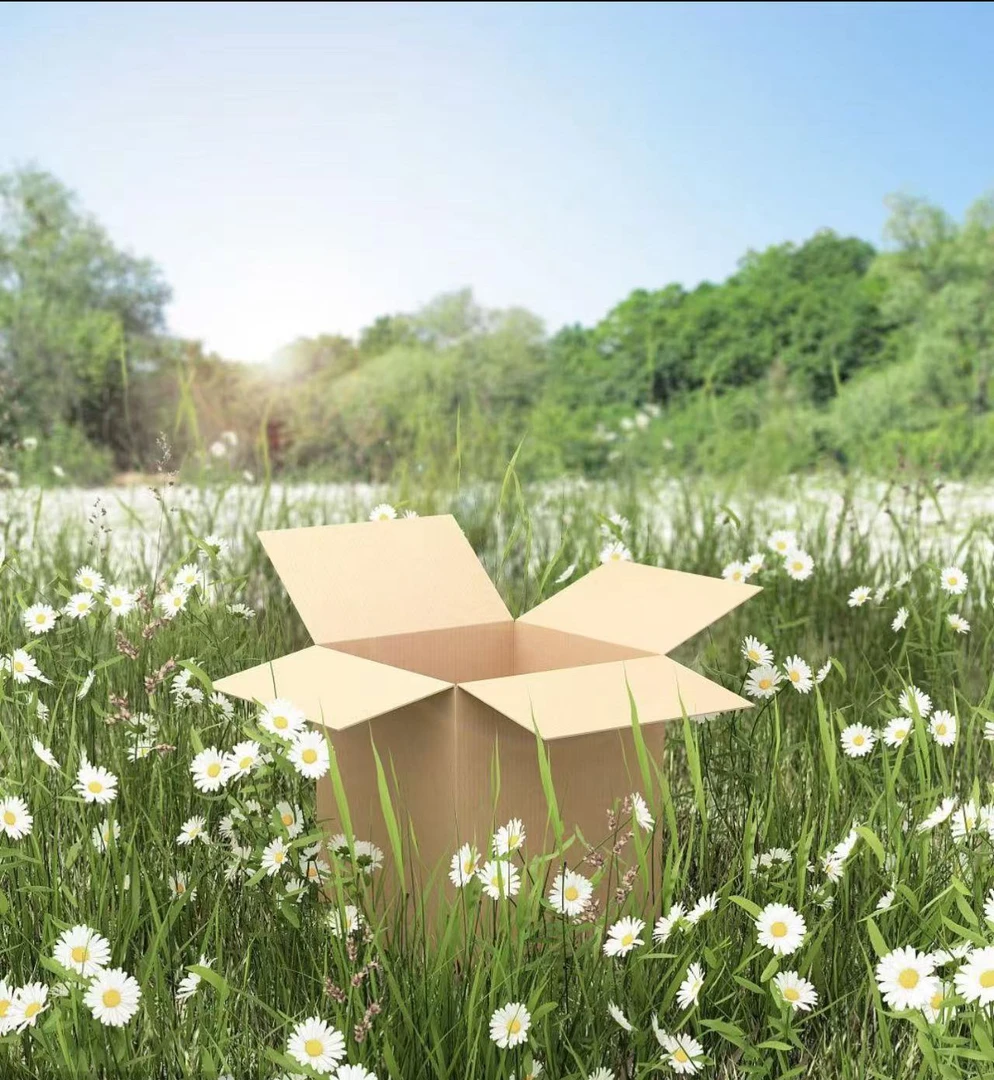 15号打包箱-已直播间主播展示为准