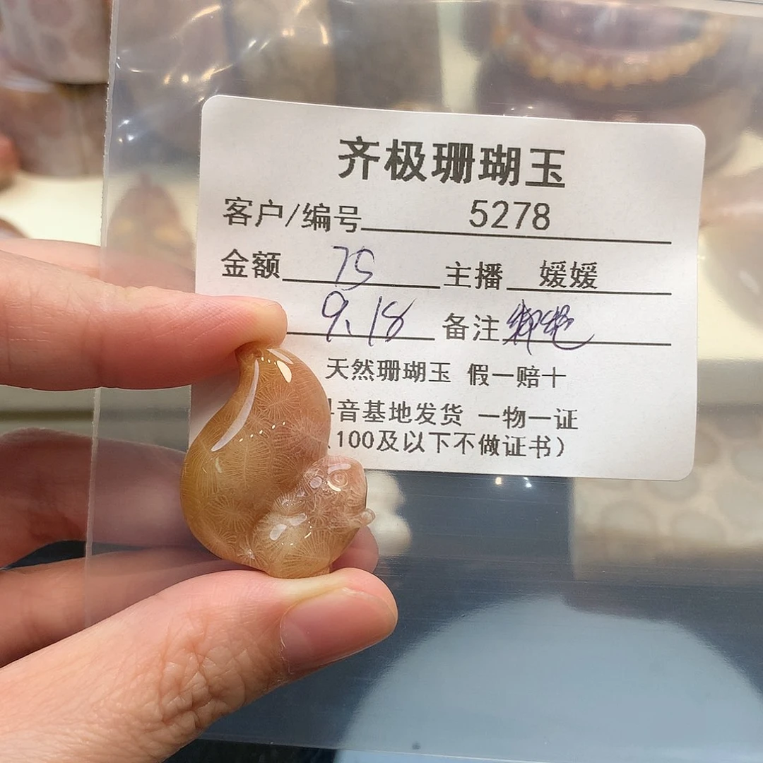 颈饰未镶嵌硅化珊瑚（珊瑚玉）灵***g