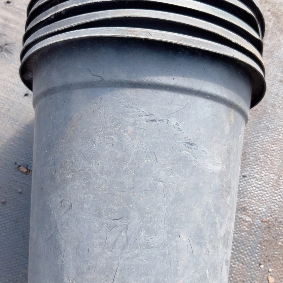 熟胶加仑盆25.口径22.5高 5个