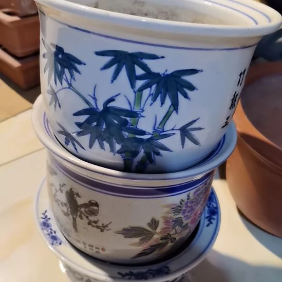 呈***升透气透水花盆花器