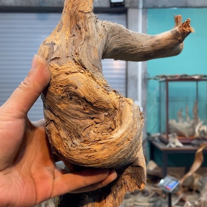 行*我们都是好孩子呀