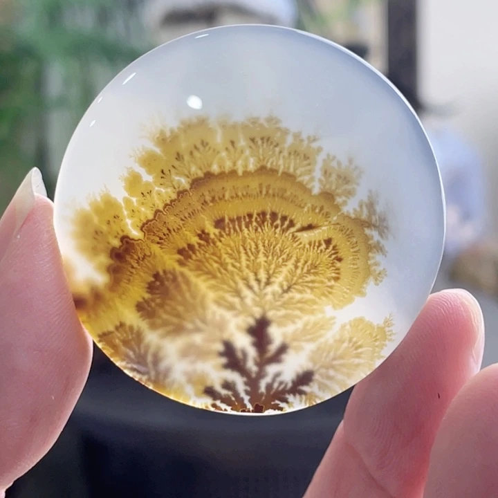 未镶嵌玛瑙/玉髓珠宝半成品